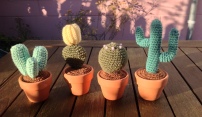Hæklede kaktusser